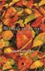 Between the Leaves - New Haiku Writing from Ireland (Paperback): Anatoly Kudryavitsky