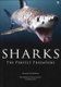 Sharks (Paperback): Alessandro De Maddalena