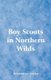 Boy Scouts in Northern Wilds (Paperback): Archibald Lee Fletcher