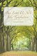 And Lead Us Not Into Temptation (Paperback): Denise Curtis