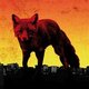Sleaford Mods / Flux Pavilion - The Day Is My Enemy (CD): Sleaford Mods, Flux Pavilion