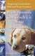 What Animals Can Teach Us About Spirituality - Inspiring Lessons from Wild and Tame Creatures (Hardcover): Diana L. Guerrero