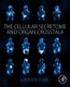 The Cellular Secretome and Organ Crosstalk (Paperback): Jurgen Eckel