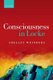 Consciousness in Locke (Hardcover): Shelley Weinberg