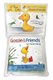 Gossie and Friends Go Swimming (Bath Book with Toy) (Miscellaneous printed matter): Olivier Dunrea
