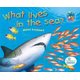 What lives in the sea?: Grade 1 (Paperback): H. Lockhart
