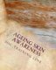Ageing Skin Awareness - Health and Social Care Training Workbook (Paperback): Mrs Susan P Rogers