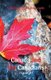 Canada and the Canadians - (Volume 2) (Paperback): Richard Henry Bonnycastle