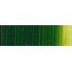 Holbein Duo-Aqua - Sap Green Water Soluble Oil Colour (40ml)(Tube): 