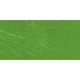 Williamsburg Oil Paint (150ml)(Cadmium Green): 