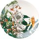 Maxwell and Williams Night Garden Flower Side Plates (19cm): 