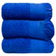 Bunty Plush Terry Fringe Guest Towel (Victoria Blue)(Pack of 3)(380gsm): 
