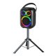 Blaupunkt Intensity Combo Speaker: 