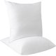 Chenshia Faux Down Scatter Cushion Inserts 45 cm Square Throw Pillow - 2 Pack: 