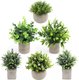 Chenshia Mini Potted Artificial Decorative Table Plants for Home - 6 Piece: 