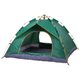 Deli Double-Door Automatic Camping Tent Green, 205205115cm: 