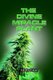 The Divine Miracle Plant - Kaneh Bosm alias Hemp Cannabis Marijuana (Paperback): Ed Rychkun