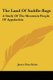 The Land Of Saddle-Bags - A Study Of The Mountain People Of Appalachia (Paperback): James Watt Raine