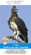Kitsgids: Voels van die Laeveld (Afrikaans, Paperback): Saartjie Kidson, Herman van Niekerk