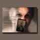 Depression Diaries (Paperback): Pj McArdle