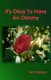 It's Okay to Have an Ostomy (Paperback): Ann Favreau