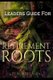 Leaders Guide For Retirement Roots (Paperback): Roberts Laura