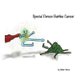 Special Person Battles Cancer (Paperback): Amber Stowe