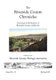 Riverside County Chronicles Vol 17 (Paperback): Steve Lech