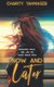 Now and Later - Eight Young Adult Short Stories (Paperback): Charity Tahmaseb