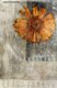 Reveilles (Paperback, New): Nathan Hoks