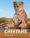 Cheetahs (Paperback): Jaclyn Jaycox