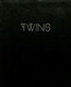 Twins (Hardcover): Julie Hascoet