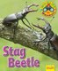 Wildlife Watchers: Stag Beetle 2017 (Paperback): Ruth Owen