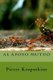 Al apoyo mutuo (Spanish, Paperback): Pierre Kropotkine