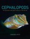 Cephalopods - of Australia and Sub-Antarctic Territories (Hardcover): Amanda Reid