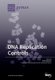 DNA Replication Controls Volume 1 (Paperback): Eishi Noguchi