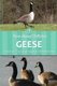 Geese (Paperback): M/N Martinez