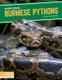 Invasive Species: Burmese Pythons (Hardcover): Emma Huddleston