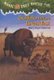 Buffalo Before Breakfast (Paperback): Mary Pope Osborne