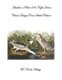 Audubon's Plate 236 Night Heron - Classic Designs Cross Stitch Pattern (Paperback): M Norah Halsey