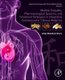 Medical Empathy, Pharmacological Systems, and Treatment Strategies in Integrative Cardiovascular Chinese Medicine - Volume 2...