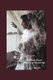 Shattered Dreams Memoirs of a Broken Wife (Paperback): C Letty Zea