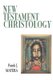 New Testament Christology (Paperback, 1st ed): Frank J. Matera