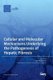 Cellular and Molecular Mechanisms Underlying the Pathogenesis of Hepatic Fibrosis (Hardcover): Ralf Weiskirchen