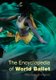 The Encyclopedia of World Ballet (Hardcover): Mary Ellen Snodgrass