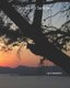 Stories for Summer (Paperback): Lynn Swanson