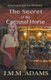 The Secret of the Carousel Horse (Paperback): J M M Adams