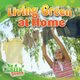 Living Green at Home (Paperback): Molly Aloian