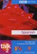 Talk Spanish 2 Pack (English, Spanish, Paperback): Inma Mcleish