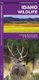 Idaho Wildlife - A Folding Pocket Guide to Familiar Animals (Pamphlet): James Kavanagh, Waterford Press